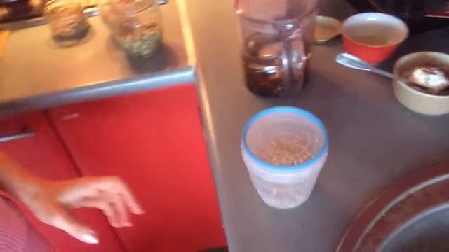 Проращивание зерен и семян для салатов смотреть онлайн