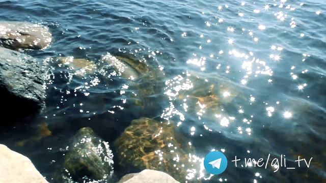 Рыбалка в августе