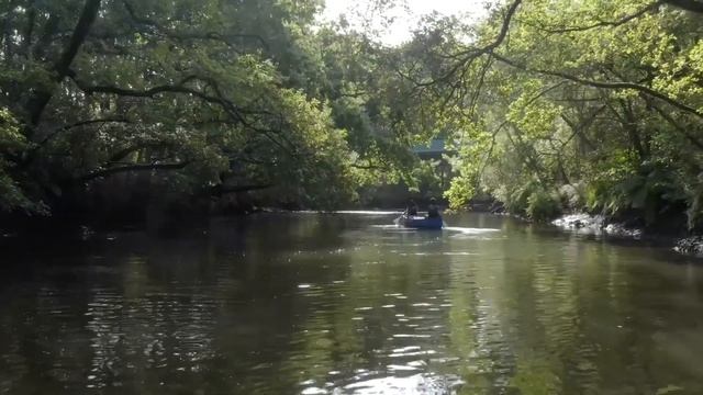Focus B'A : Entrepreneuses canoë kayak смотреть онлайн