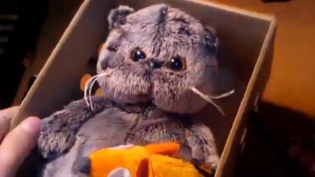 Сюрприз))Котик Басик в коробочке!!! Basik&Кот смотреть онлайн