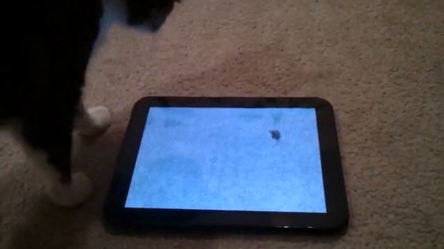 Virtual Bug Attack смотреть онлайн