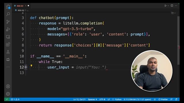 LiteLLM Chatbot: Build Your Own in MINUTES! INSANE! ?? смотреть онлайн