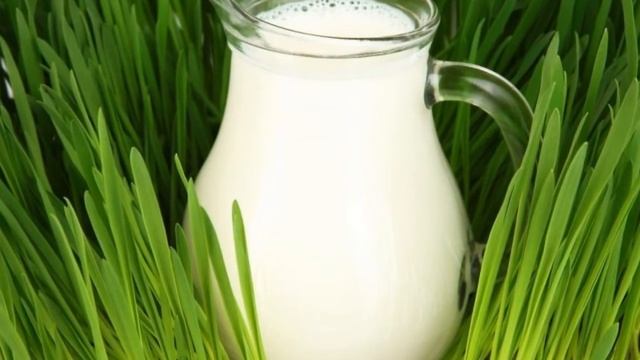 Почему молоко белое? смотреть онлайн