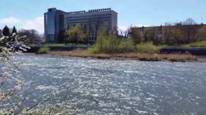Владикавказ. Река Терек весной_Vladikavkaz. Terek river in spring.