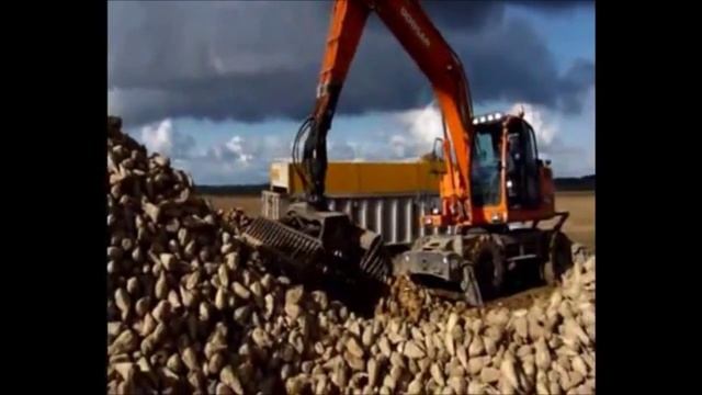 Уборка свеклы -экскаватором - грейфер ARDEN для овощепогрузки смотреть онлайн