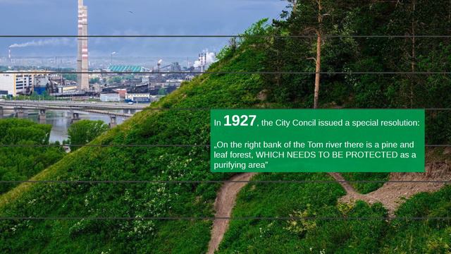 Let’s save Pine Forest Rudnichny! смотреть онлайн