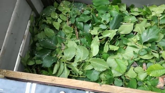 Все в Дело!! Или немного о Компостной куче. смотреть онлайн