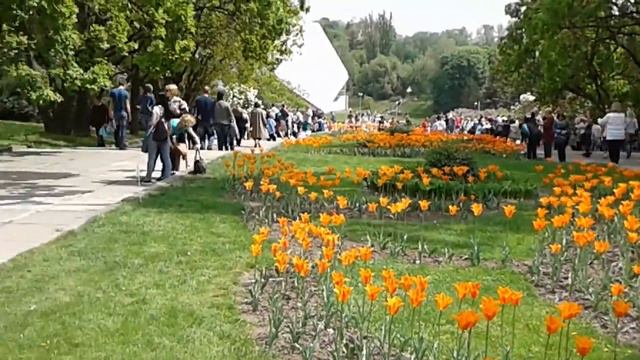 Надія є. Київ. Весна. Ботанічний. смотреть онлайн