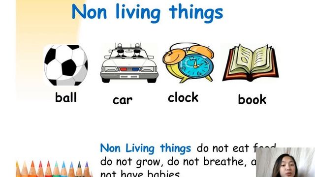 Living And Non Living Things