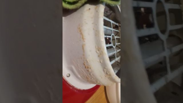 Как мыть аппарат для приготовления сладкой ваты. Салфетка для посуды ГринВей смотреть онлайн