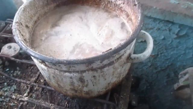 як я кормлю своїх собак Ч 1 смотреть онлайн