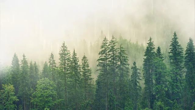 расслабляющая музыка для сна и медитации смотреть онлайн