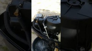 Parsun 5  4 такта