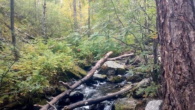 Индивидуальный тур по Забайкалью. Часть 1. Алханай смотреть онлайн