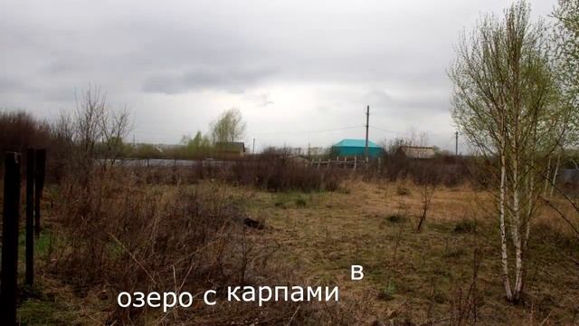 Участок в СНО Нива, Чишминский район смотреть онлайн