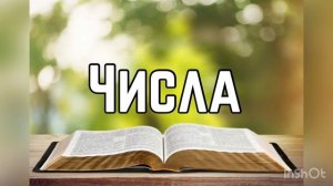 Библия, Числа 13 глава