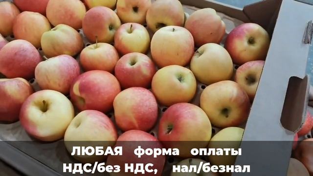 Сорт яблок Гала шнига смотреть онлайн