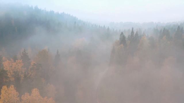 Relax with Tunes | Dreamcatchers by Onycs смотреть онлайн