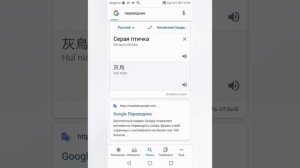 Серая птичка на Китайском (традиционном).