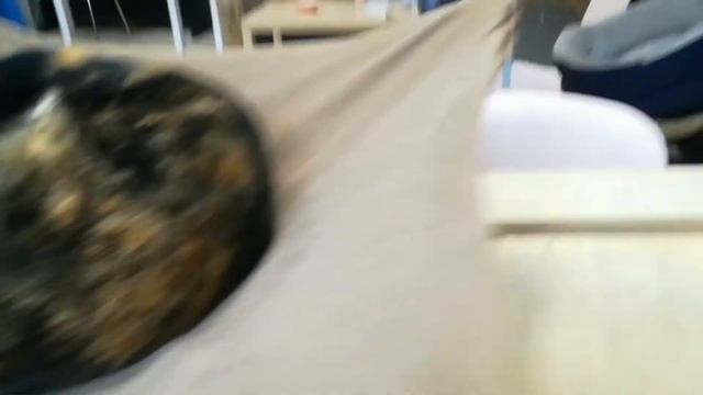 😍VLOG 😍 8 ДЕНЬ... ИДУ В КОТОКАФЕ. 😍 смотреть онлайн