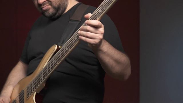 Бас гитара SCHECTER OMEN EXTREME 5 GNAT смотреть онлайн