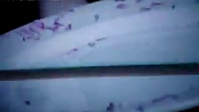 Цветочная кулинария ( Flower Gastronomy )