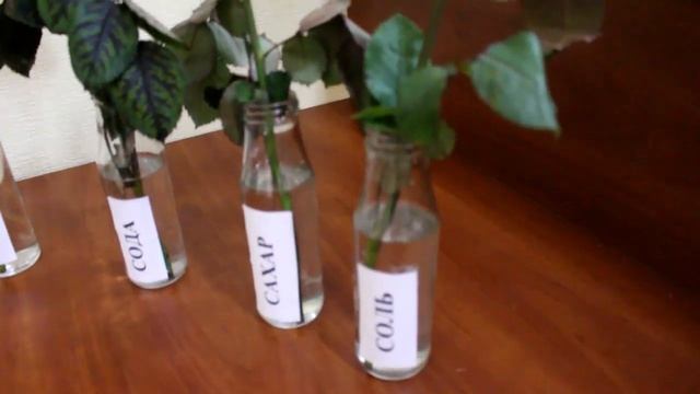 В какой воде цветы простоят дольше смотреть онлайн