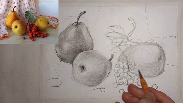 Натюрморт с грушами простым карандашом. смотреть онлайн