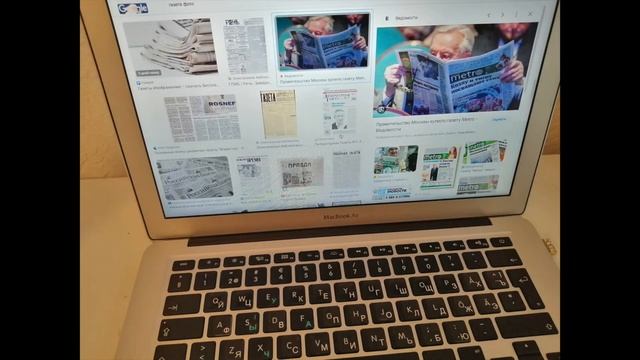 Собак взяли с собой на работу смотреть онлайн