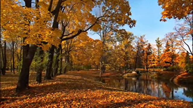 Стихи о жизни | Стихотворение "Осень" смотреть онлайн