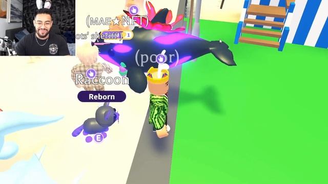 Trading New JETPACK! (Adopt me Roblox Update) смотреть онлайн