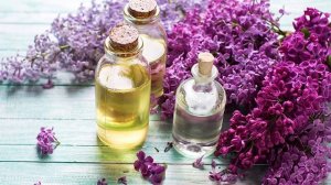 Зачем готовить сироп из цветков сирени