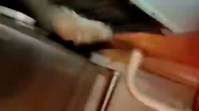 пора и честь знать! смотреть онлайн