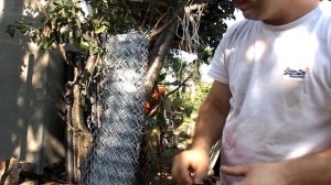 Самый бюджетный забор! сетка-рабица.