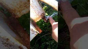 бензин, солярка диз топливо из резины и мусора в домашних условиях.