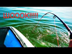 ОНИ ЛОМАЮТ КАТУШКИ!!! ТРЕЩАТ СПИННИНГИ !!! ШОООК! СМОТРЕТЬ ВСЕМ ! РЫБАЛКА 2021!!! ПОШЛА ЖАРА !