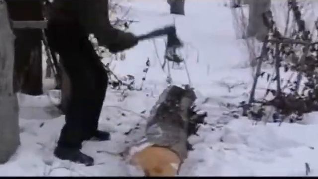 Даосские будни 1: лесоповал (топорный цигун)) смотреть онлайн