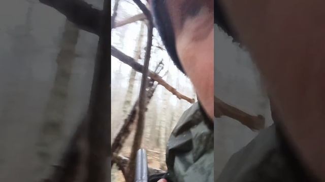 Неудачная прогулка в лес, встреча с жуткой лесной старухой. смотреть онлайн