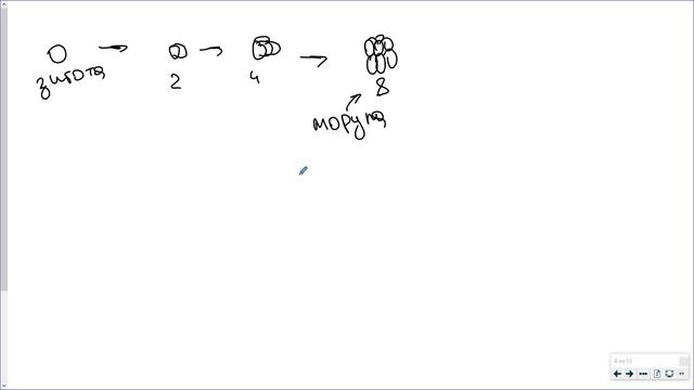 6_Размножение и развитие