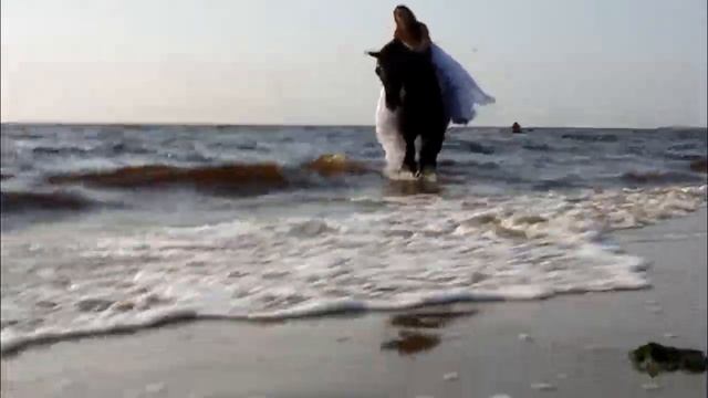 Красивые девушки и лошади на Белом море смотреть онлайн