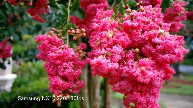 Samsung NX10 in 2022 смотреть онлайн