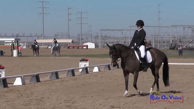 212D Natalie Burk on Laced Sensation SR Novice Dressage FCHP February 2018 смотреть онлайн