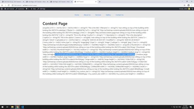 File Field - WordPress Advanced Custom Fields for Beginners (6) смотреть онлайн