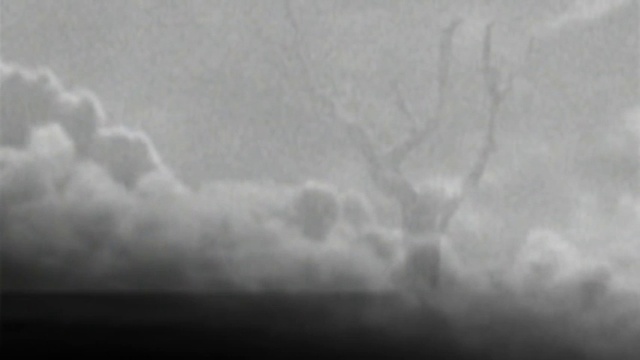 PETER MURPHY  - Your Face