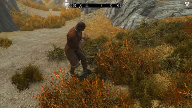 "The Shortest Skyrim Video On Youtube!!!" смотреть онлайн