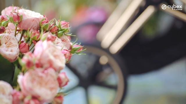 Cybex Platinum Fashion - Spring Blossom Collection | Luna Baby Store смотреть онлайн