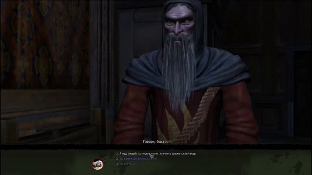 The Witcher Enhanced Edition Встреча с Эльфами. #8