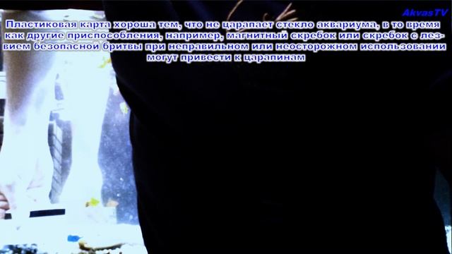 ЧИСТКА СТЕКОЛ АКВАРИУМА ПЛАСТИКОВОЙ КАРТОЙ смотреть онлайн