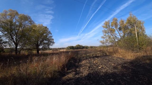 ДЕД И ПОДУМАТЬ НЕ МОГ ЧТО У НЕГО НА ОГОРОДЕ ЦАРСКИЕ МОНЕТЫ! смотреть онлайн