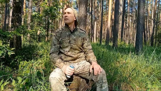 Лесные цветы|Букет Цветов На Лесной Опушке